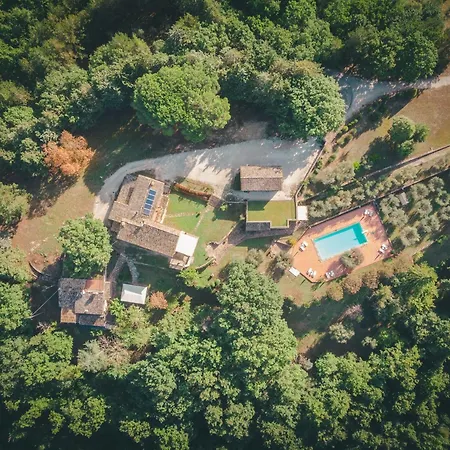 House In The Woods, Pool And Relax In Umbria Valfabbrica