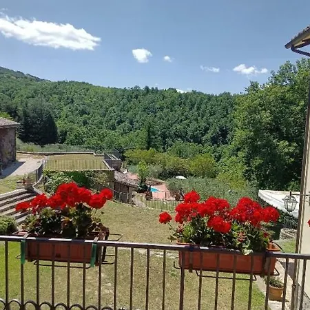 Gospodarstwo wiejskie House In The Woods, Pool And Relax In Umbria